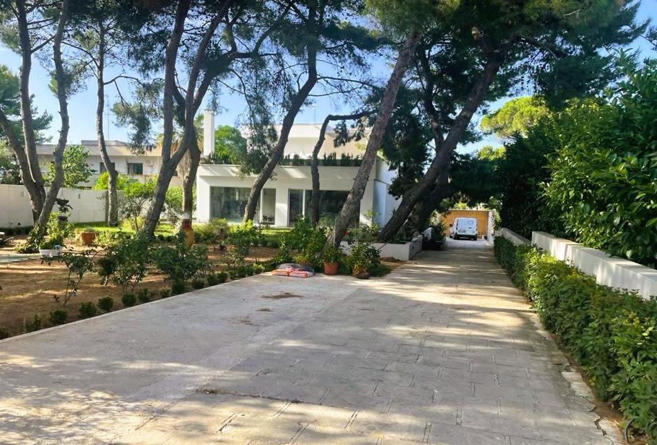 Casa Morgana Daire Giovinazzo Dış mekan fotoğraf