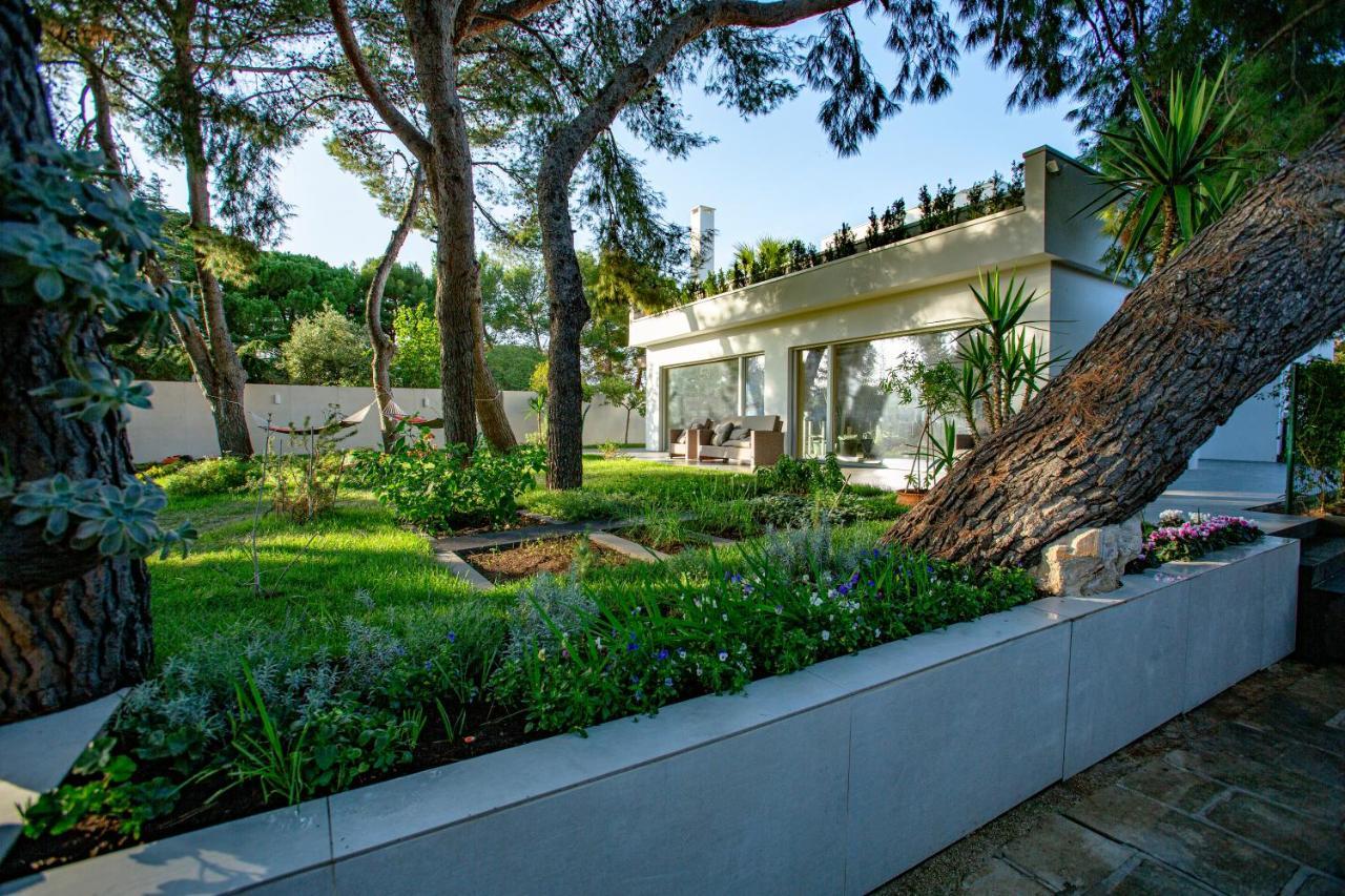 Casa Morgana Daire Giovinazzo Dış mekan fotoğraf